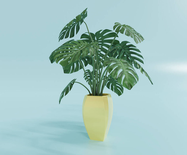planta antúrio tropical com vaso amarelo - Foto, Imagem
