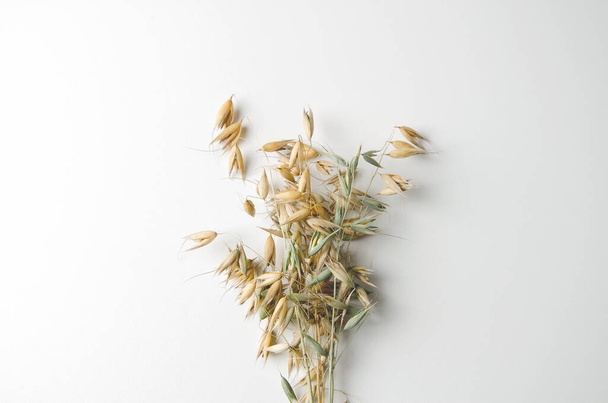 A bouquet of dry oats lies on a light background, a flat layout with a copy of space, selective focus - Foto, imagen