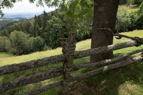 recinzione in legno come demarcazione ad altri terreni e proprietà - Foto, immagini
