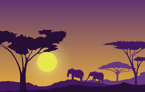 Elefánt Sunset Animal Savanna Tájkép Afrika Vadvilág Illusztráció - Vektor, kép