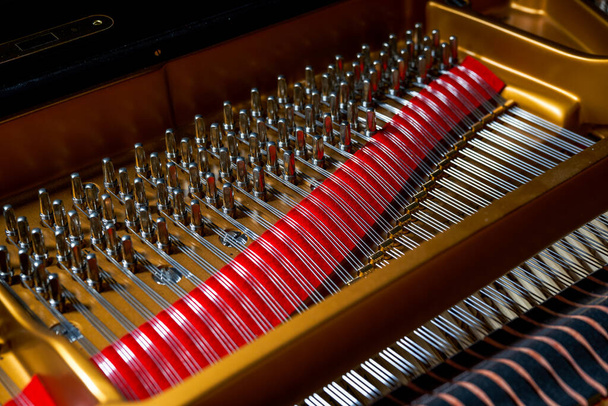 Gros plan sur la structure interne des cordes d'un piano à queue supérieur - Photo, image