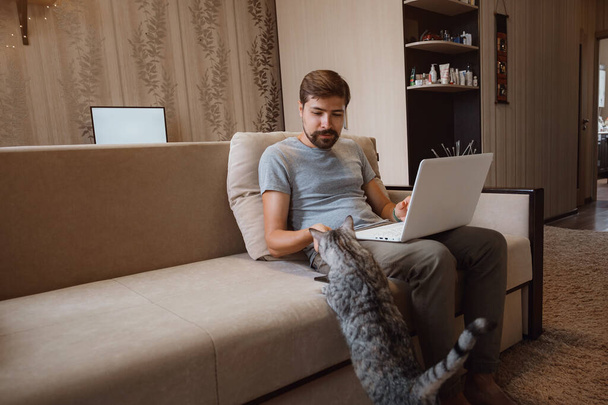 Νέοι ελκυστική χαμογελαστός τύπος είναι περιήγηση στο laptop του, κάθεται στο σπίτι στο άνετο μπεζ καναπέ στο σπίτι, φορώντας casual στολή με το κατοικίδιο ζώο του - γκρι χαριτωμένο γάτα - Φωτογραφία, εικόνα