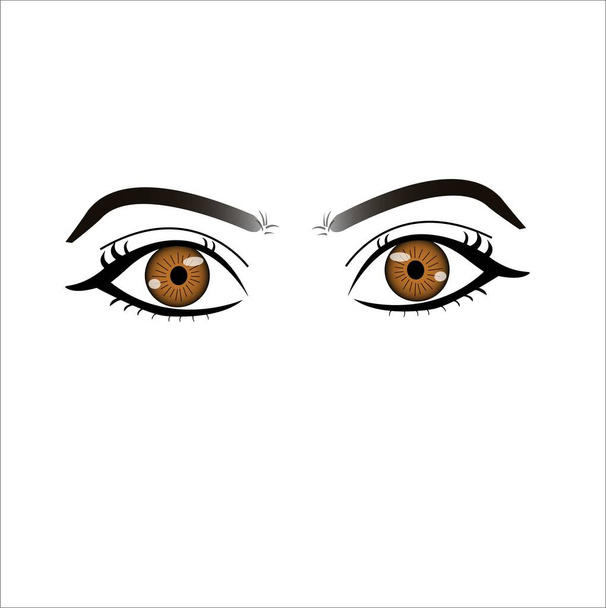 Коричневые глаза векторная иллюстрация с белым bacckground - Вектор,изображение