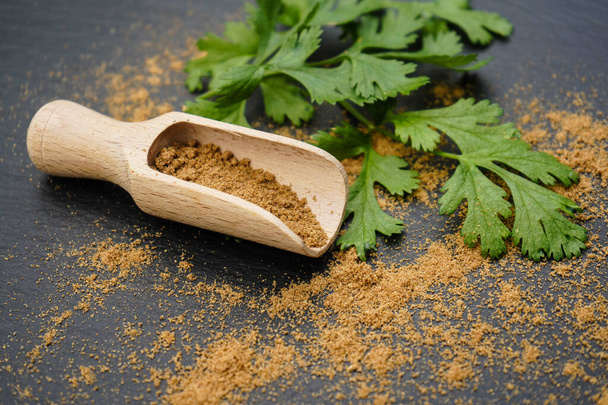 Ruskea korianteri jauhe ja puinen lusikka - Valokuva, kuva