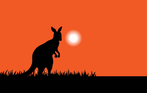 Векторная иллюстрация кенгуру на заднем плане - Вектор,изображение
