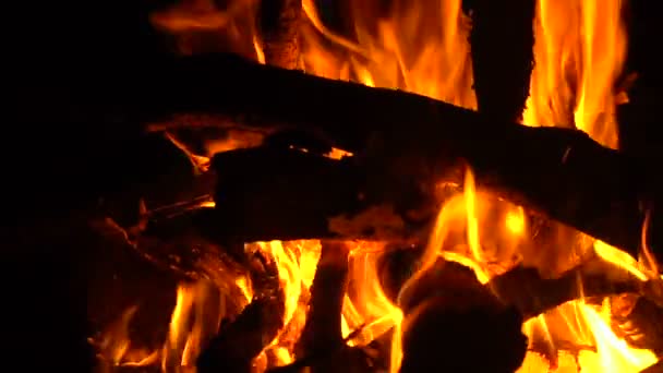 brandend houtvuur in de open haard - Video