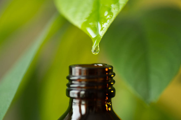 Herbal, alternative medicine oil drop falling down from a leaf to the bottle, with copy space - Foto, Bild