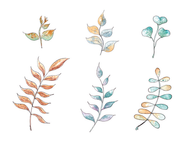 Hand drawn watercolor botanic set. Plants, twigs, leaf - Zdjęcie, obraz