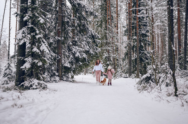 Feliz familia joven madre y niña linda en rosa cálido outwear caminar divirtiéndose con rojo shiba inu perro en nieve blanco frío bosque de invierno al aire libre. Deportes de familia actividades de vacaciones - Foto, imagen