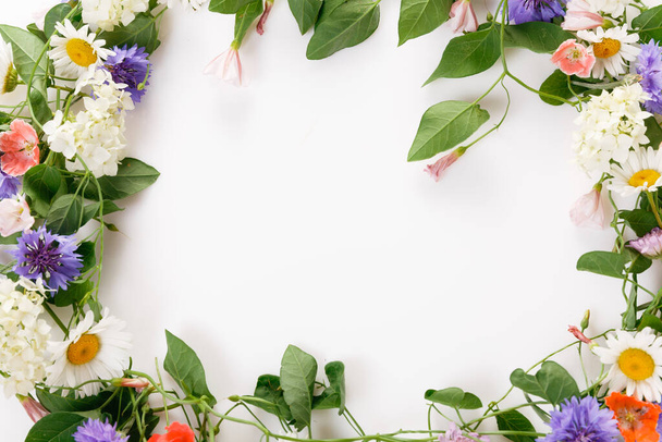 Άνοιξη ή καλοκαίρι πλαίσιο από αγριολούλουδα, διάταξη λουλουδιών σε λευκό φόντο. - Φωτογραφία, εικόνα