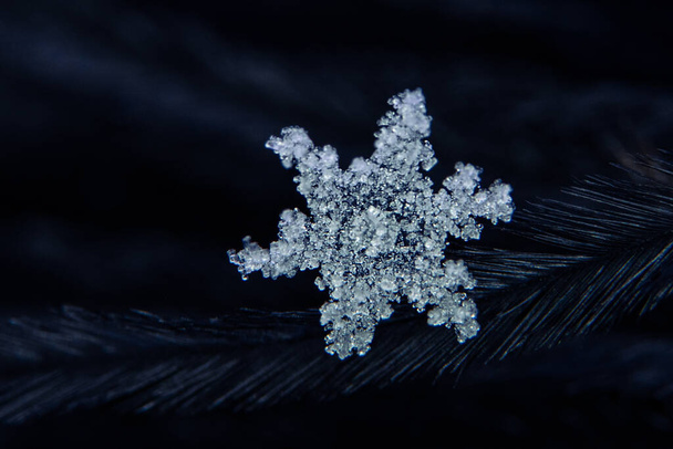 Echte Schneeflocke auf blauem Hintergrund. Weihnachten Winter Schneeflocken Hintergrund. Schneeflocke Nahaufnahme. Makrofoto. Kopierraum. Eis, Frost - Foto, Bild