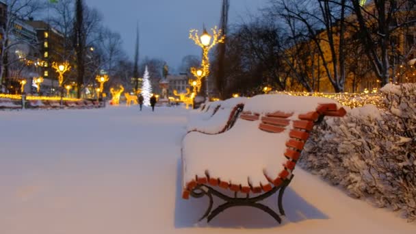 雪の後にエスプラナディ公園。クリスマスのために装飾された公園。フィンランドのヘルシンキ. - 映像、動画