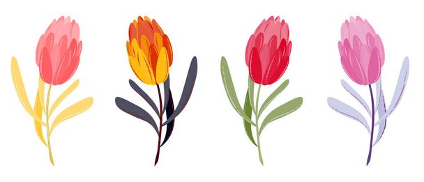векторные весенние или летние цветы. плоские тюльпаны многоцветные. Ручной рисунок элементов дизайна на Пасху, День матери, женский день, 8 марта поздравительная открытка - Вектор,изображение