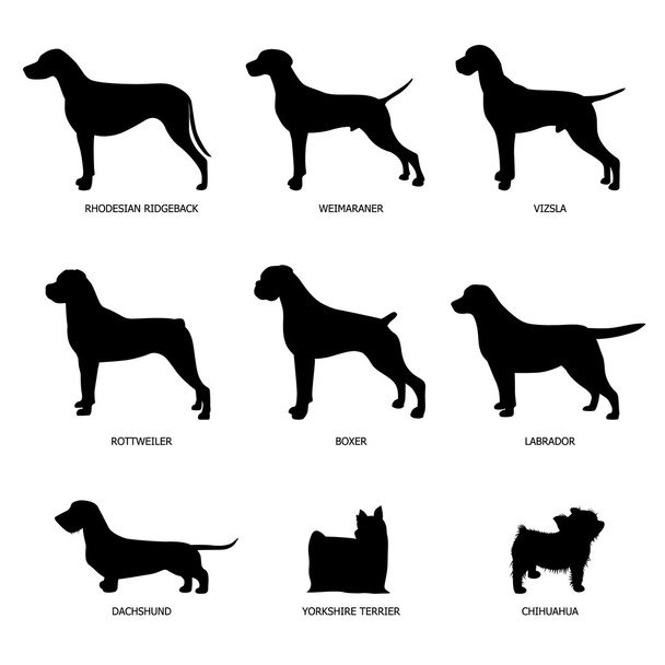 Dog silhouettes - Vector, Image