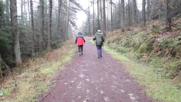 Starší pár kráčející po pěšině stezkou přes odlehlý lesní les ve venkovské krajině v zimě - Záběry, video