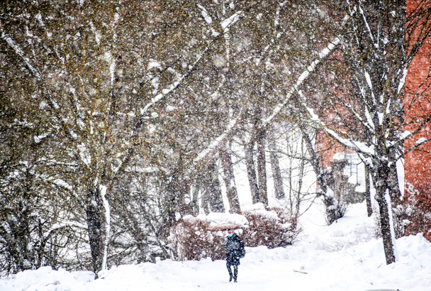 Paisaje blanco de invierno con edificios, calles y árboles cubiertos por la nieve y gente caminando por la acera durante una gran nevada en la ciudad de Vilna, Lituania  - Foto, imagen