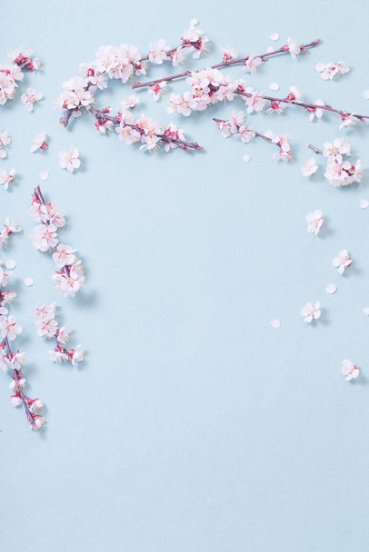 pink cherry flowers on  paper background - Φωτογραφία, εικόνα