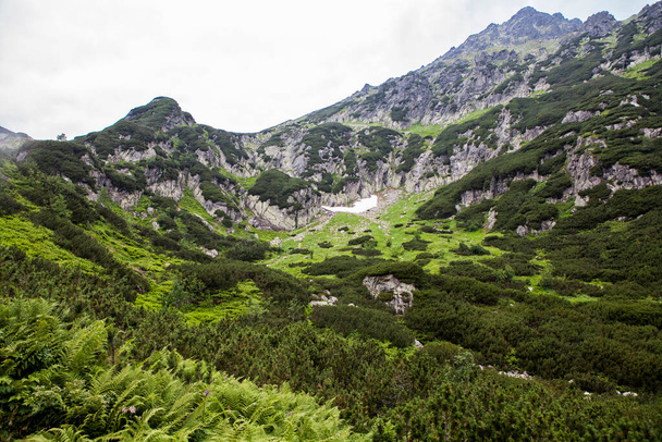 Vuoristomaisema Tatran kansallispuistossa - Valokuva, kuva