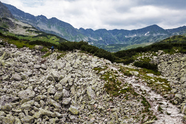 Vuoristomaisema Tatran kansallispuistossa - Valokuva, kuva