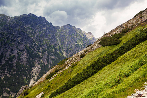 Berglandschap in het Tatra National Park - Foto, afbeelding