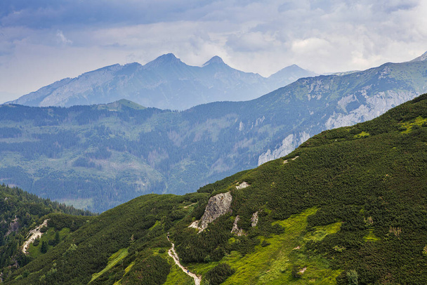 Tatra Ulusal Parkı 'ndaki dağ manzarası - Fotoğraf, Görsel
