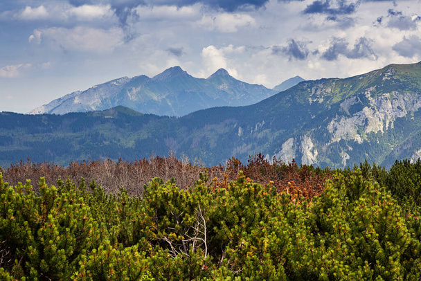 Berglandschap in het Tatra National Park - Foto, afbeelding