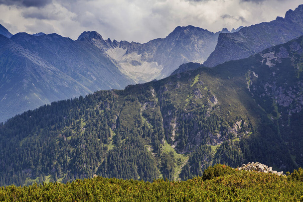 Гірський ландшафт національного парку Татра. - Фото, зображення