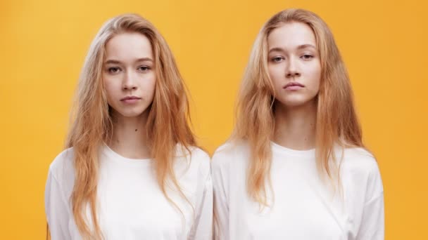 Portrét dvou vážných sester dvojčat dívajících se do kamery, pózujících na oranžovém pozadí - Záběry, video