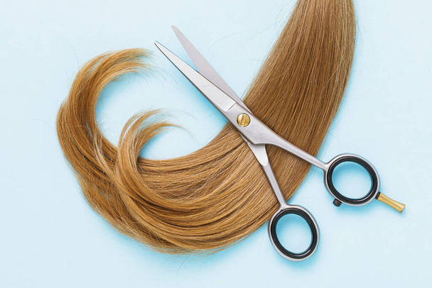 Nożyczki i włosy kobiety jasnobrązowy kolor na niebieskim tle, widok z góry. Koncepcja fryzjerstwa. - Zdjęcie, obraz