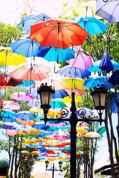 Bunte Regenschirme im Gartenpark - Foto, Bild