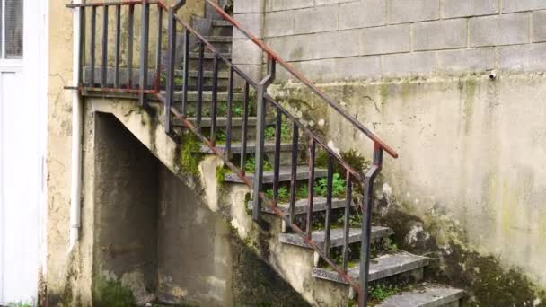 Stare zniszczone betonowe schody porośnięte mchem i pleśnią. Opuszczony dom - Materiał filmowy, wideo