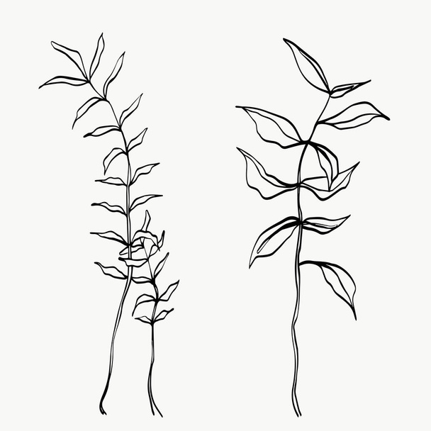 Botanical leaves line art. abstract modern or minimal plants line. perfect for home decor such as posters. vector illustrations design. - Vektori, kuva