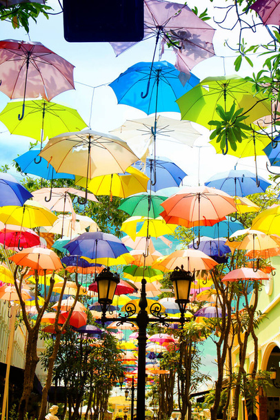 Bunte Regenschirme im Gartenpark - Foto, Bild