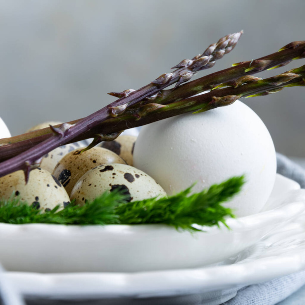 Озеленение кулинарии - укроп, дикая спаржа и яйца - Фото, изображение