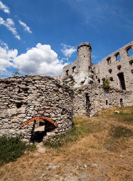 ポーランドのOgrodzieniec城,ヨーロッパ - 写真・画像