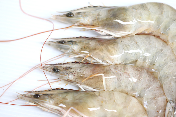 raw many Shrimp on white. - Photo, Image