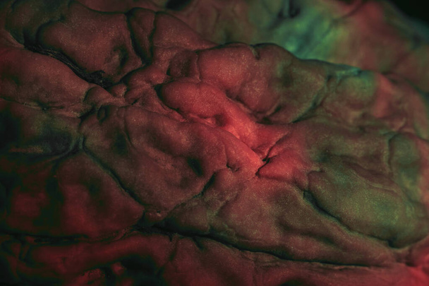 Close-up prachtige walnoot shell extreem in multicolor licht. Achtergrond textuur voor ontwerp. Macro Fotografie Bekijk. - Foto, afbeelding