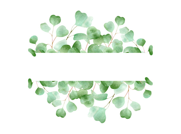 Akvarelový rám s listy eukalyptu. Vodorovný květinový prapor se zeleným listem a čerstvou rostlinou - Fotografie, Obrázek