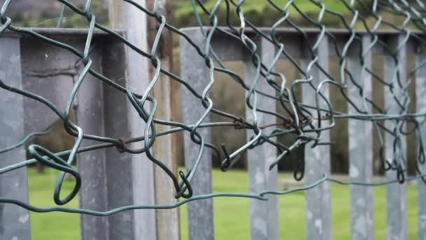 Primer plano de malla dañada desgarrada verde en una valla de celosía exterior galvanizada - Imágenes, Vídeo