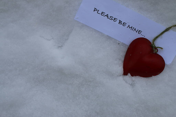 Χιόνι Ημέρα του Αγίου Βαλεντίνου ακόμα ζωή του κόκκινου μετάλλου ρομαντική καρδιά αγάπης που βρίσκεται στο στρώμα του λευκού παρθένο χιόνι φόντο με Παρακαλώ να μου Αγίου Βαλεντίνου ερωτικό μήνυμα του ρομαντισμού στο ψύχος Φεβρουάριος Ημέρα του πουλιού μάτι υψηλής γωνίας άποψη  - Φωτογραφία, εικόνα