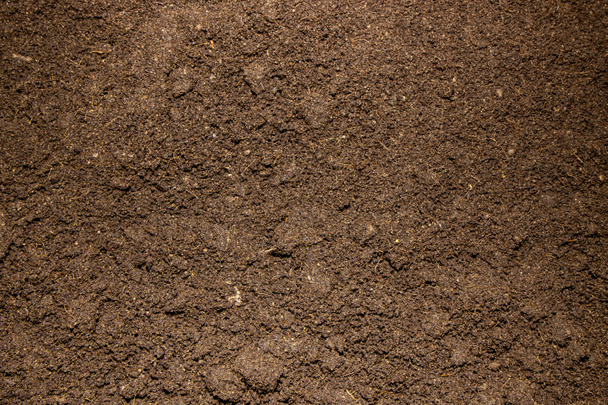 Close up foto van bruine grond in een tuin - Foto, afbeelding