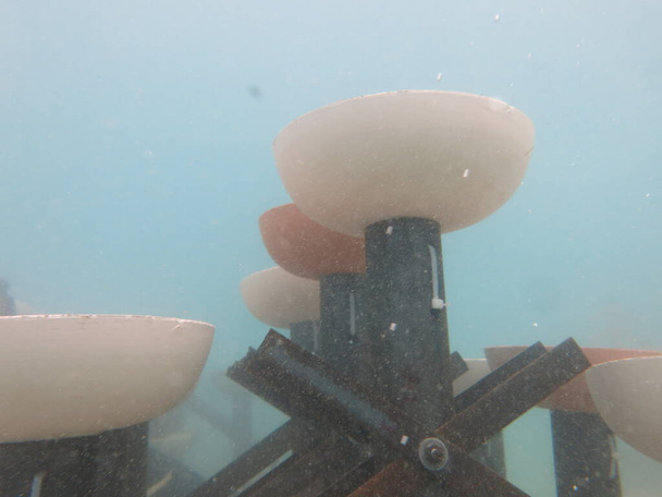 Deployed artificial reef at Redang island, Malaysia - Photo, Image