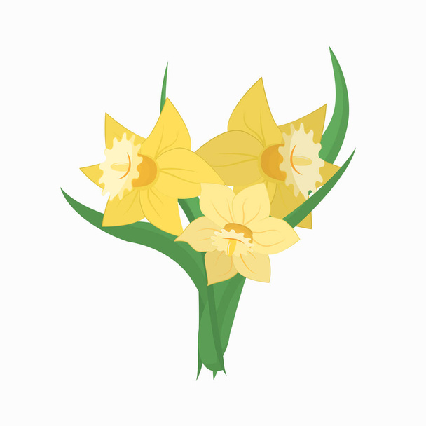  bouquet di narcisi gialli su sfondo bianco, illustrazione primaverile - Vettoriali, immagini