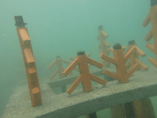 Arrecife artificial desplegado en la isla Redang, Malasia - Foto, imagen