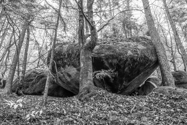 Ancient weathered megalithic granite rock formation with cave and breakthrough in Bavarian forest near Thurmansbang, Germany - Photo, Image