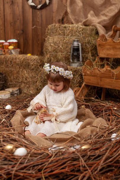 Onnellinen pikkutyttö mekossa ja seppele istuu pesässä pääsiäismunien kanssa ja pitää huolellisesti söpöä pörröistä kanaa sylissään. Kaunis pikkutyttö nauraa iloisesti. Hyvää pääsiäistä. - Valokuva, kuva