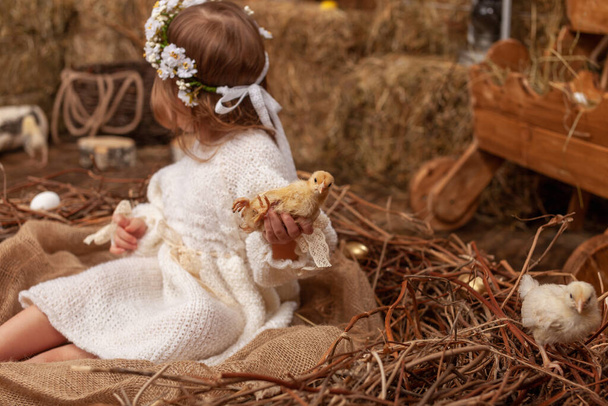 A happy little girl in a dress and a wreath sits in a nest with Easter eggs and carefully holds a cute fluffy chicken in her arms. The pretty little girl laughs happily. Happy Easter - Photo, Image