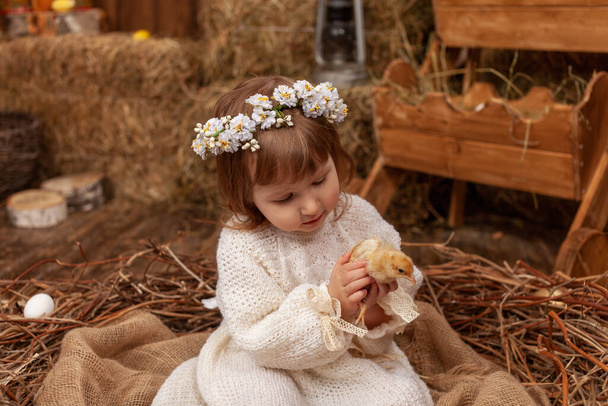 A happy little girl in a dress and a wreath sits in a nest with Easter eggs and carefully holds a cute fluffy chicken in her arms. The pretty little girl laughs happily. Happy Easter - Valokuva, kuva