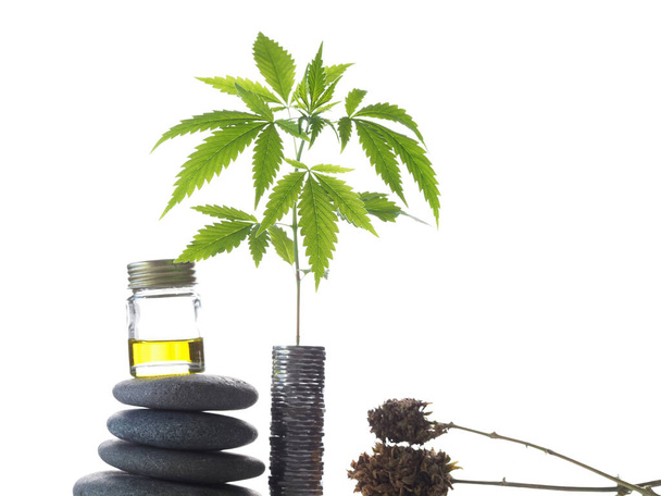 Marihuana medicinal relajante concepto de spa. aceite de cannabis cbd. creciente negocio de cáñamo pila de monedas - Foto, Imagen