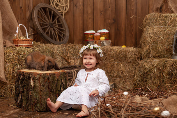 Easter decoration. little girl petting and feeding lop-eared rabbit. laughing child in dress and wreath flowers on his head, is in contact, communicates with pet rabbit, in hay barn on Easter day. - Foto, afbeelding